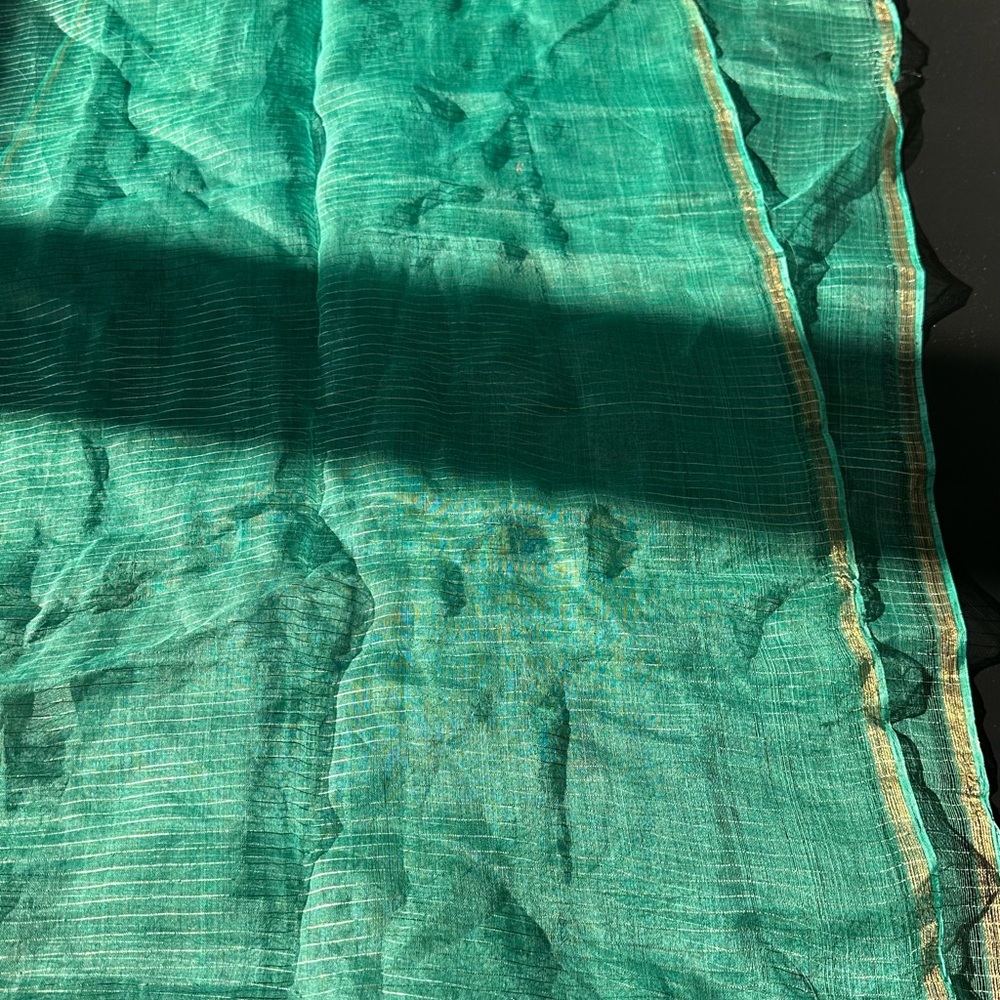 Elegant Green Sheer Scarf with Gold Trim